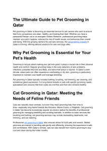 Pet Grooming in Qatar: The Ultimate Guide