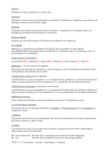 Système Digestif, Nutrition et Métabolisme - Cours
