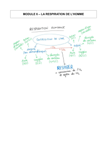 Respiration Humaine: Définitions Clés et Concepts