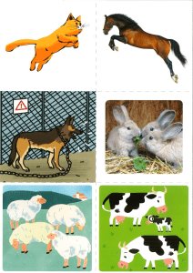 Animaux de ferme : Illustration éducative