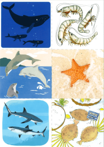 Illustration de créatures marines pour l'éducation des enfants