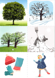 Illustration des quatre saisons pour enfants