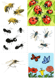 Illustration d'insectes pour enfants : Abeilles, coccinelles, fourmis