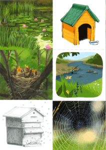 Illustrations de la nature : étang, cabane, nid, rivière, ruche, toile