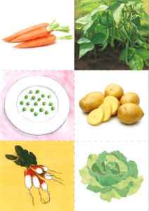 Image de légumes variés : Carottes, haricots, petits pois, pommes de terre