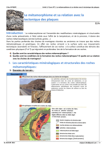 M&eacute;tamorphisme et tectonique des plaques - Cours SVT