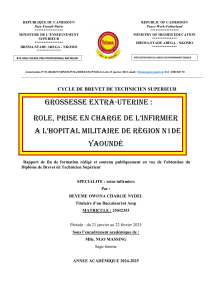 Grossesse extra-utérine: Rôle infirmier à Yaoundé