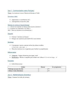 Planification de cours : Émotions, tailles, motricité, arts, habitats