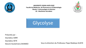Glycolyse : Biochimie Microbienne - Pr&eacute;sentation Master