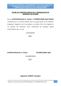 Rapport d'analyse du sol : Graveleux lat&eacute;ritique & Sol de Gu&eacute;me