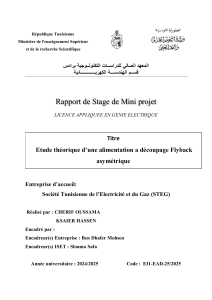 Rapport de stage : Alimentation Flyback asym&eacute;trique