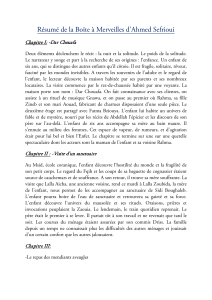 Résumé La Boîte à Merveilles Sefrioui - Analyse Chapitres