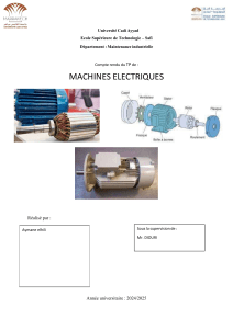 Rapport TP Machines Asynchrones