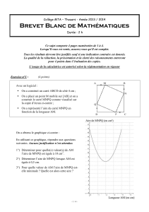 brevet blanc
