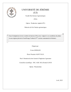 Essai d'adaptation de vari&eacute;t&eacute;s de haricots en Ha&iuml;ti
