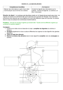 Le trajet des aliments : Exercice de biologie