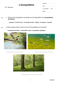 Exercice : L'écosystème - Sciences