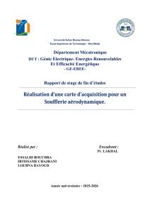 Rapport sur la carte d'acquisition de données de soufflerie
