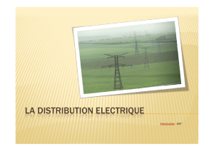 Distrib elect eleve
