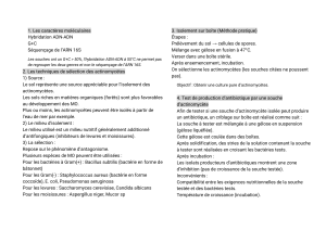 Actinomycètes: Sélection, Isolement & Production d'Antibiotiques
