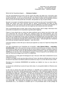 la foret et l'homme PDF