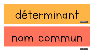 Liste de mots : Grammaire fran&ccedil;aise