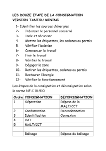 Étapes de consignation et déconsignation - Guide Tantou Mining