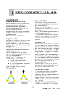 D&eacute;termination g&eacute;n&eacute;tique du sexe : Chromosomes et m&eacute;canismes