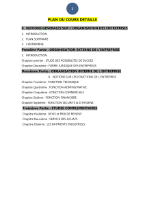 Plan de cours : Organisation des entreprises