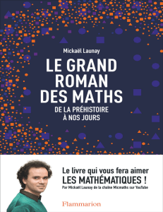 le grand roman des maths