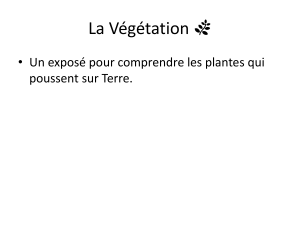 La Végétation : Comprendre et Protéger les Plantes