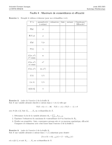Statistique Mathématique: Maximum de Vraisemblance et Efficacité