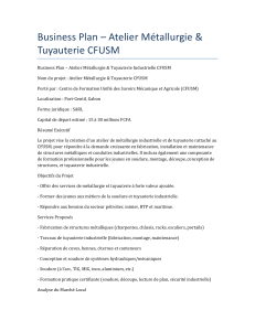 Plan d'Affaires Atelier Métallurgie & Tuyauterie CFUSM