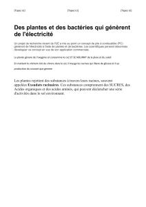 électricité plantes