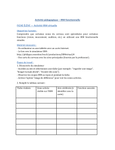 IRM fonctionnelle : activité pédagogique pour Terminale SVT