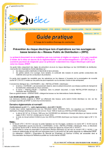 GP14 sécurité électrique  Guide d'opérations basse tension (RPD)