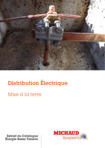 Michaud Export: Catalogue Solutions de Mise à la Terre