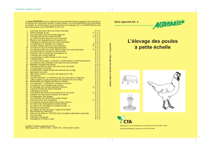 &Eacute;levage de Poules &agrave; Petite &Eacute;chelle : Guide Agrodok
