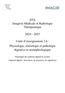 Physiologie Digestive et Uron&eacute;phrologique : Cours DTS Imagerie M&eacute;dicale