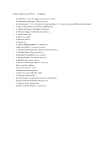 Plantes à utiliser dans la Phytoremédiation