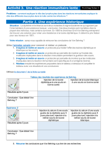 Immunité : Activité sur les Lymphocytes B et T