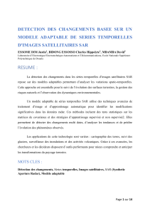 D&eacute;tection de changements SAR : Mod&egrave;le adaptable