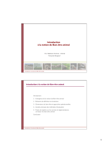 Bien-&ecirc;tre animal : Introduction et concepts cl&eacute;s