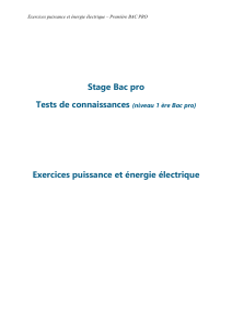 Exercices Puissance et Énergie Électrique - 1ère BAC PRO