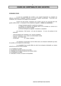 Comptabilit&eacute; des Soci&eacute;t&eacute;s : Cours Complet