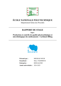 Rapport de Stage: Production et Contr&ocirc;le Carbimol 400mg