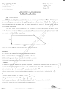 Examen de Maths 4ème: Peste Porcine et Géométrie