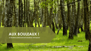 Bouleaux : Taxonomie, Répartition, et Utilisation
