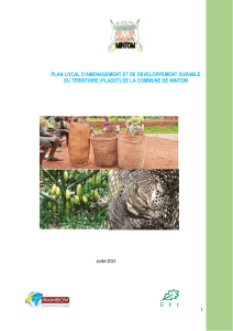PLADDT Mintom : Aménagement et Développement Durable du Territoire