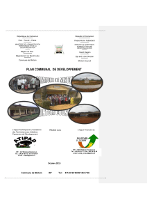 Plan Communal de Développement de Mintom, Cameroun